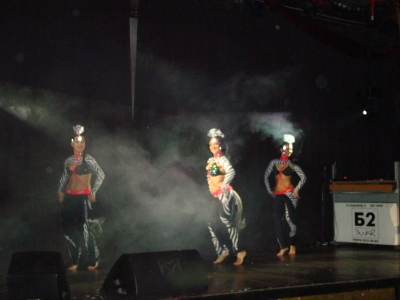 Вилена-Зебры