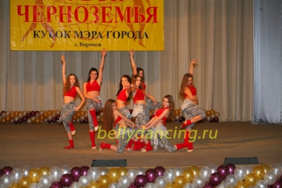 Межрегиональный фестиваль-конкурс Кубок Черноземья 2011