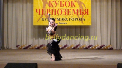 Межрегиональный фестиваль-конкурс Кубок Черноземья 2011